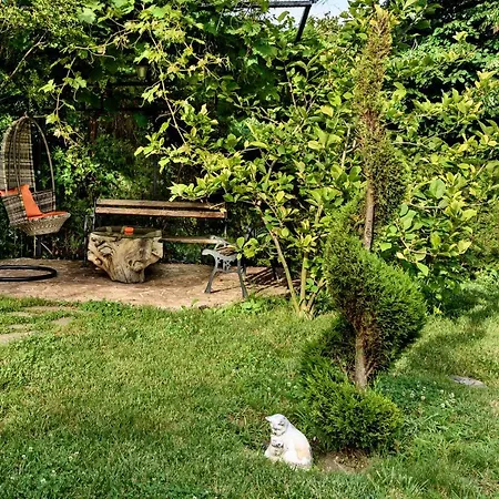 Gæstehus Saltanat 41