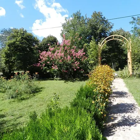 Saltanat 41 Gæstehus