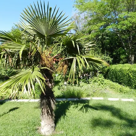 Gæstehus Saltanat 41 Varna