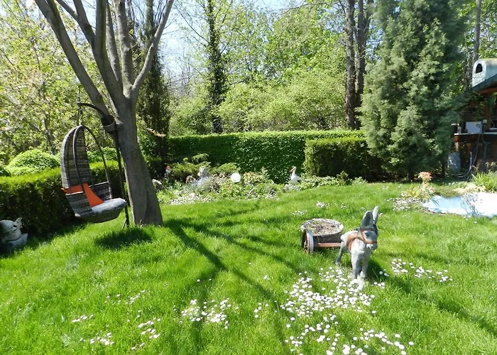 Saltanat 41 Penzion 2*