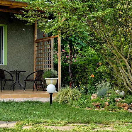 Saltanat 41 2* Warna