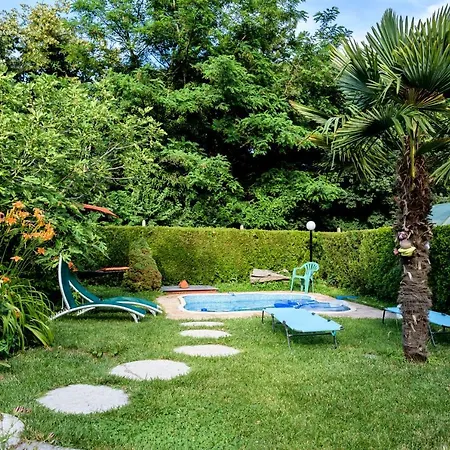 Saltanat 41 Gasthof Warna