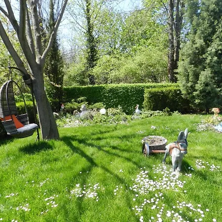 Saltanat 41 Gasthof 2*