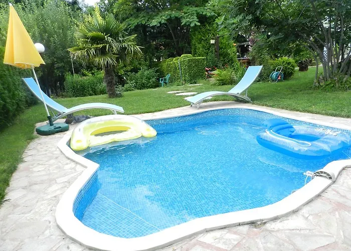 Saltanat 41 וארנה