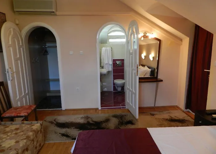 Saltanat 41 וארנה