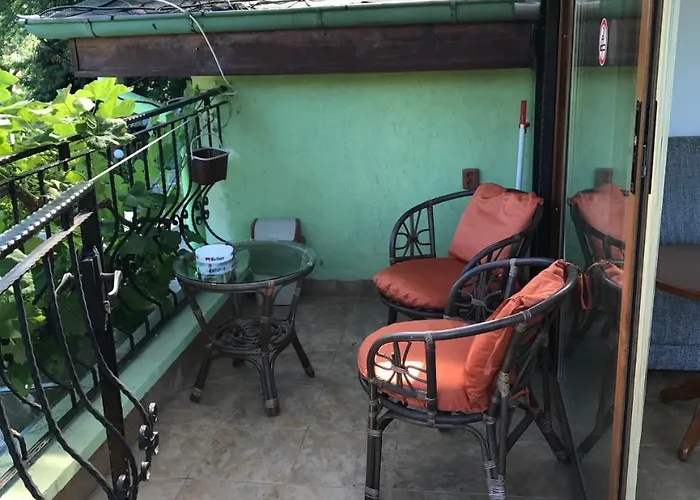 Saltanat 41 בית הארחה וארנה