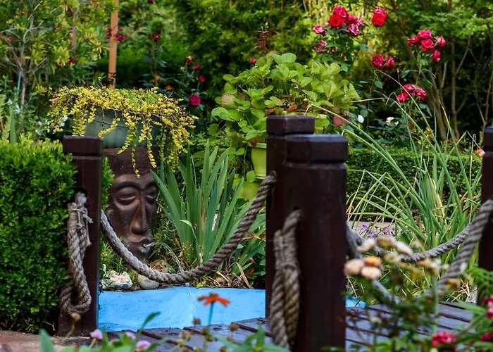 Saltanat 41 וארנה